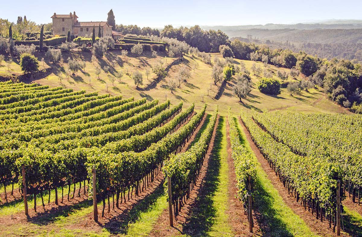 A picturesque Chianti wedding venue set atop rolling hills, surrounded by lush vineyards and olive groves under the Tuscan sun